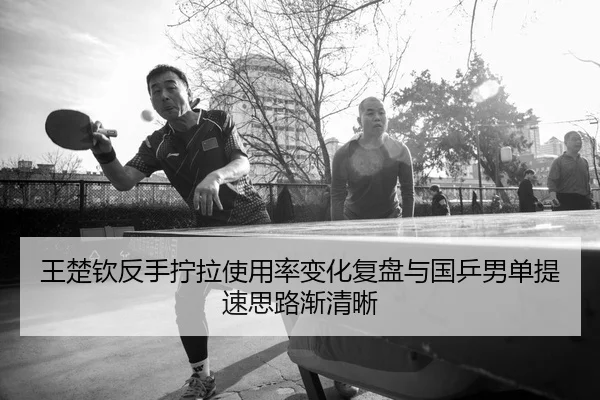 wang-chu-qin-fan-shou-ning-la-shi-yong-lv-bian-hua-fu-pan-yu-guo-ping-nan-dan-ti-su-si-lu-jian-qing-xi-2-521.jpg