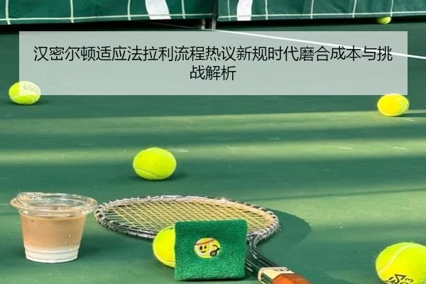 han-mi-er-dun-shi-ying-fa-la-li-liu-cheng-re-yi-xin-gui-shi-dai-mo-he-cheng-ben-yu-tiao-zhan-jie-xi-2-406.jpg